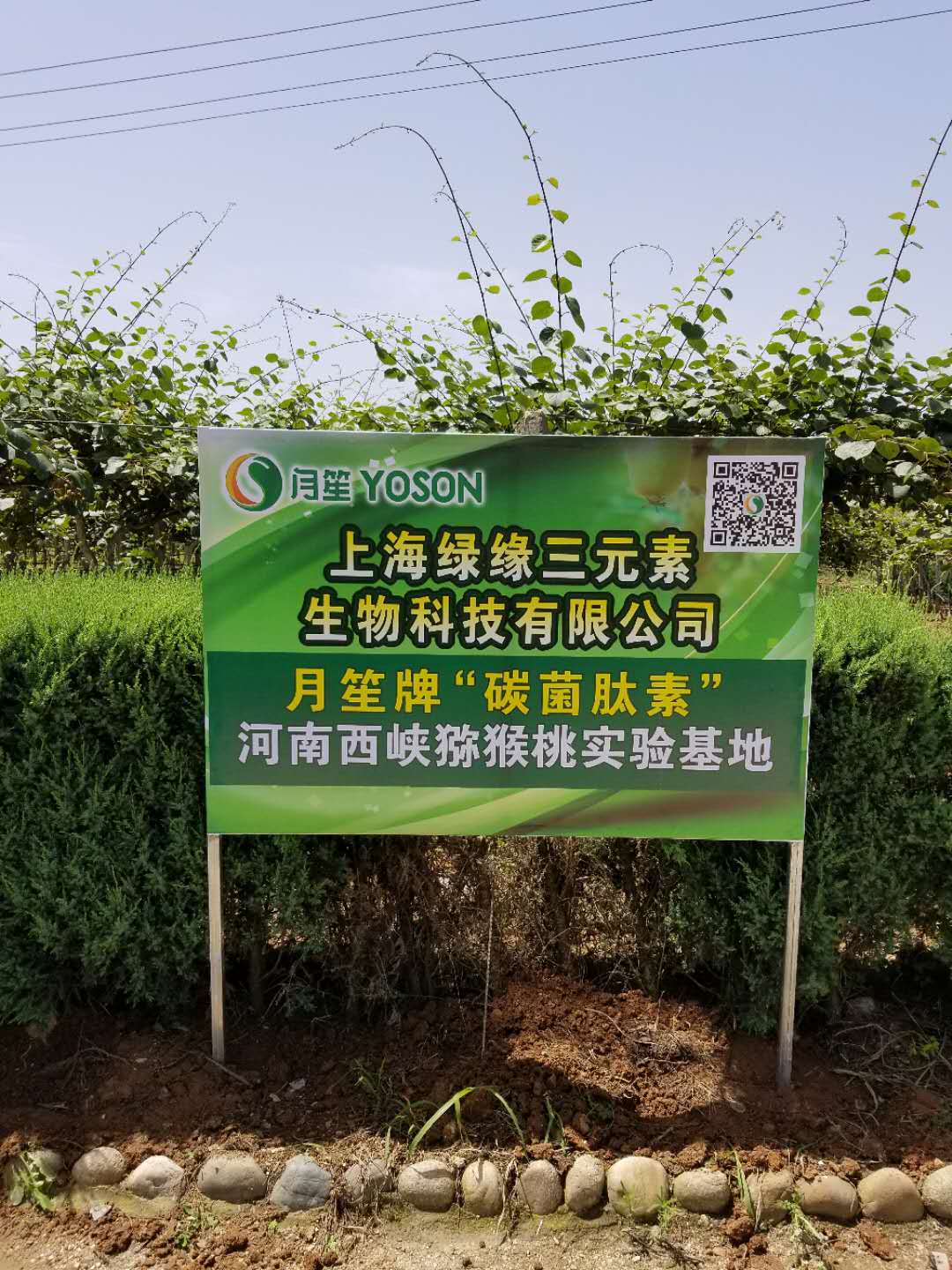 {J̼ЙC(j)ʌ(sh)(yn)